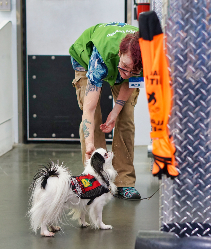 The Sam's Club worker reaches out to pet Hestia, but Hestia looks to Veronica for permission.