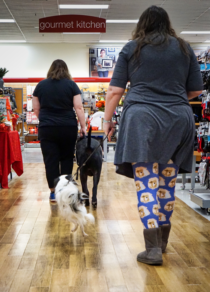 Kristi and Jax walk though the store with Veronica and Hestia following. Hestia is in the middle of a loop command and has all four legs off the ground!