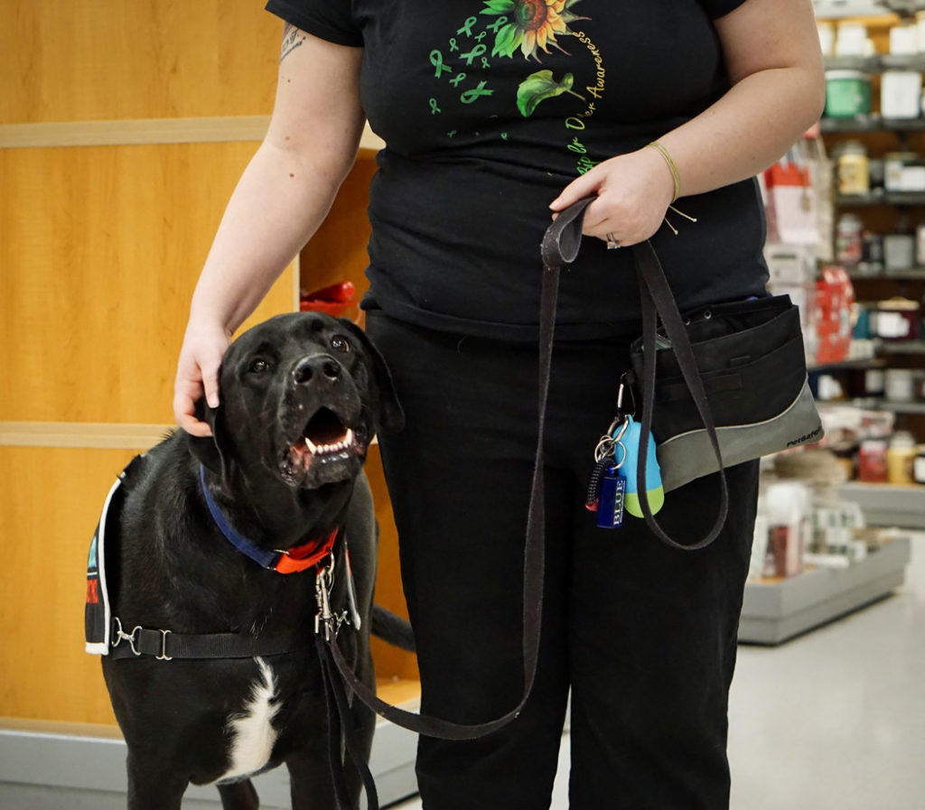 Jax smiles in an open-mouthed way while Kristi scritches his ear.