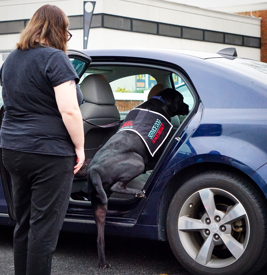 Jax gets in the car.