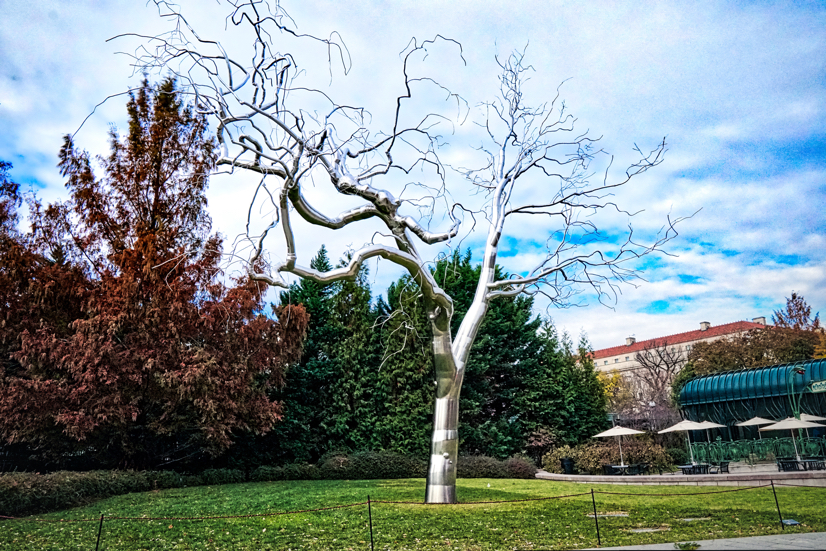 A 40-foot, realistic sculpture of a silver tree, with the bright blue sky showing through in the background.