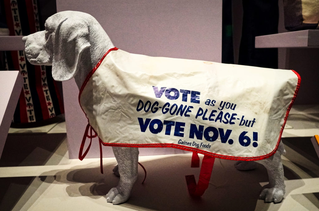 A dog coat that says "vote as you dog-gone please, but vote Nov 6!"