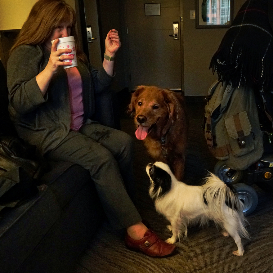 Hestia looks up at Jenine expectantly while Roger stands by watching with his tongue out.