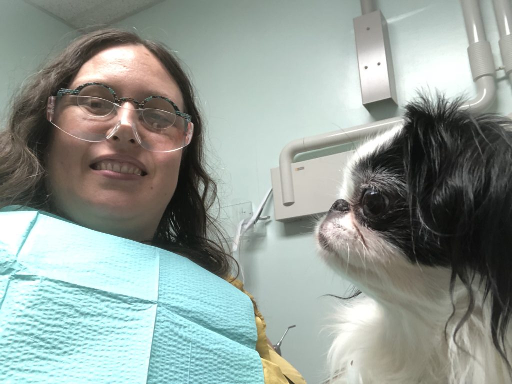 Veronica with a teal bib on and wearing big plastic glasses over her glasses in the dentist chair. Hestia is in profile next to her. Her nose is so flat that it doesn't stick out at all! Her mouth sticks out more than her nose!